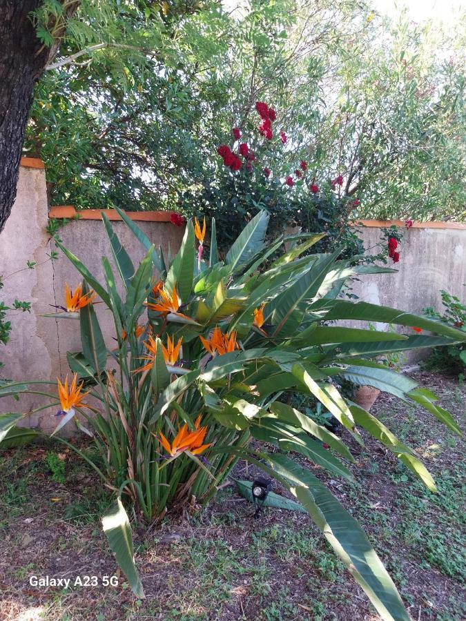 Bed and Breakfast Chez Isabelle Luri Екстер'єр фото