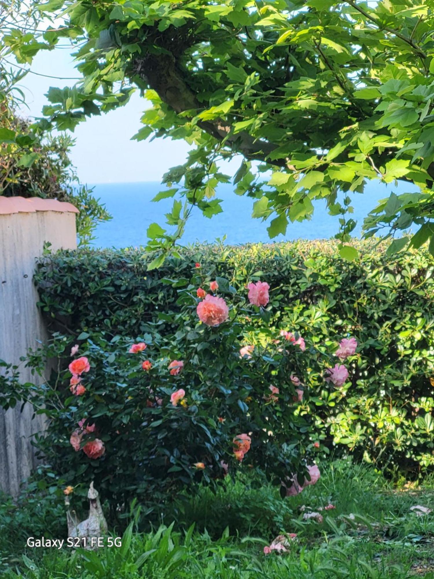 Bed and Breakfast Chez Isabelle Luri Екстер'єр фото